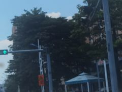 -顺德渔村·岭南一号