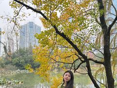 -艾溪湖湿地公园