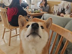 -柴の食堂·日式家庭料理·熊之肆(大学路店)