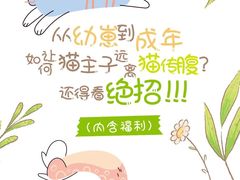 -瑞派天使宠物医院·神经外科·骨科·核磁(洛川中路店)