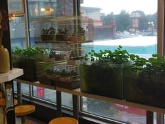 -金乐活美食(中街店)