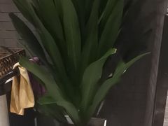 -新沸腾鱼乡(世贸天阶店)