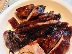-佬肥猫(国华广场店)