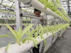 -兴芮温泉度假区