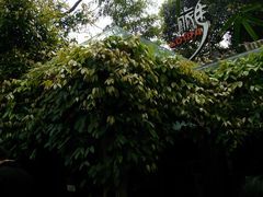 android_upload_pic-旅马餐厅(茅家埠店)