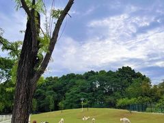 -国际非物质文化遗产博览园