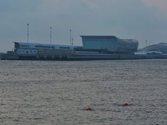 -上海吴淞炮台湾国家湿地公园