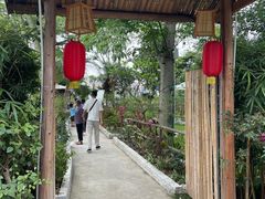 -陶缘一号·四季缘·老字号顺德菜·户外婚礼家宴(西滘店)
