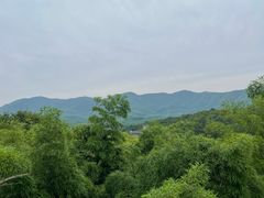 -陶祖圣境风景区