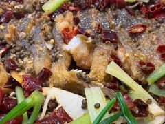 -老板恋上鱼(印象城店)