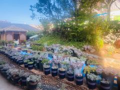 -山菌美食苑(振兴路店)