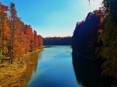 -上海海湾国家森林公园