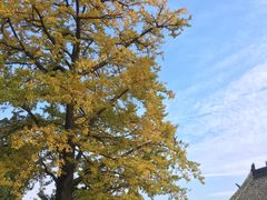 -金堂县云顶石城风景区