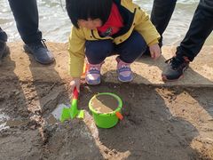-丁香湖公园