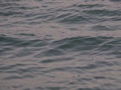 -海堤纪念公园