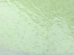 -三江森林温泉度假区