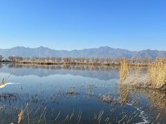 -野鸭湖国家湿地公园
