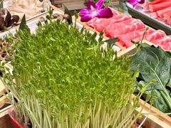 -番食园鲜食火锅(高新店)