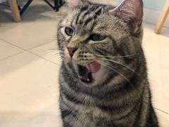 -平行世界·猫咖(首经贸店)