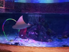 -沈阳海洋探索中心