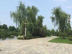 -习家池
