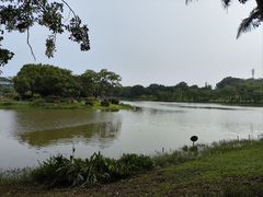 -东莞植物园