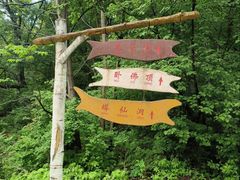 -香炉山国家森林公园