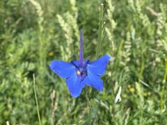 -敕勒川草原文化旅游区