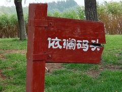 -塘沽森林公园