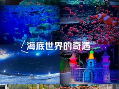 -海合安成都极地海洋公园