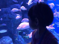 -成都浩海立方海洋公园