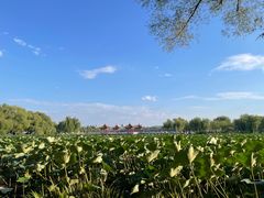 -长春市南湖公园