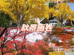 -上海瑞金洲际酒店