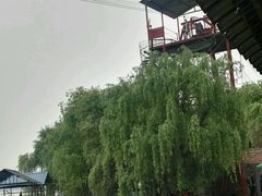 -东湖落雁景区