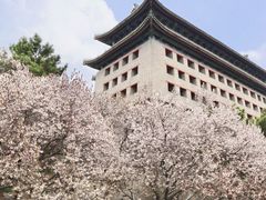 -北京明城墙遗址公园