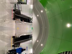 -奥体中心(地铁站)