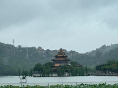 -顺峰山公园
