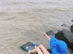 -南汇嘴观海公园