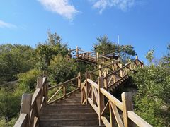 -大岭沟猕猴桃谷风景区