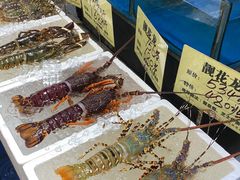 水产区-蚝得喜海鲜(东城店)