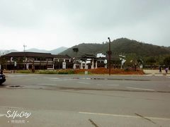 -长兴慧子土特产茶行