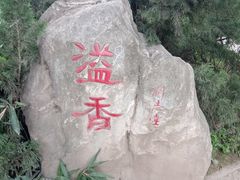 -西安市纺织公园