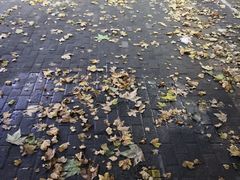-惠丰源烩面馆(经七路店)