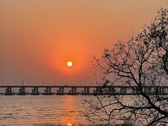 -宝安西湾红树林湿地公园