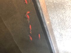 -ROSEONLY诺誓(青岛万象城店)