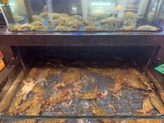 -小厨师·二十年沈家门小海鲜(百井坊巷店)