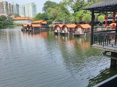 -侨美·唐荔园·40年地道粤菜