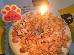 -熊猫不走生日蛋糕(东城店)