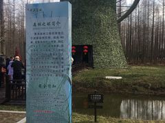 -黄海国家森林公园