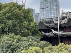 -上海白云观